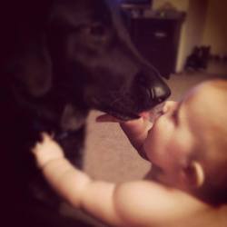 chien et bebe Finn