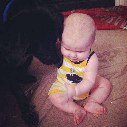 chien et bebe Finn2