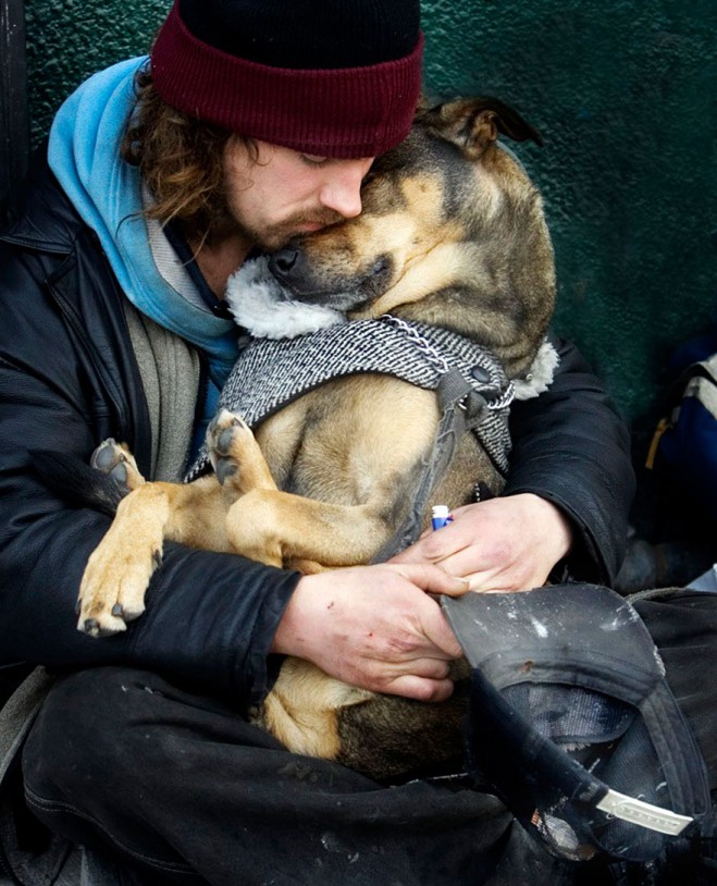 homeless-dog1-659x814