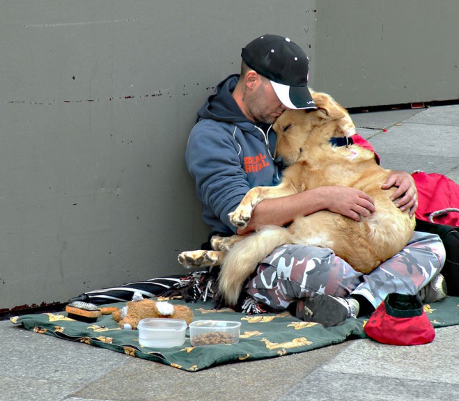 homeless-dog3-659x576