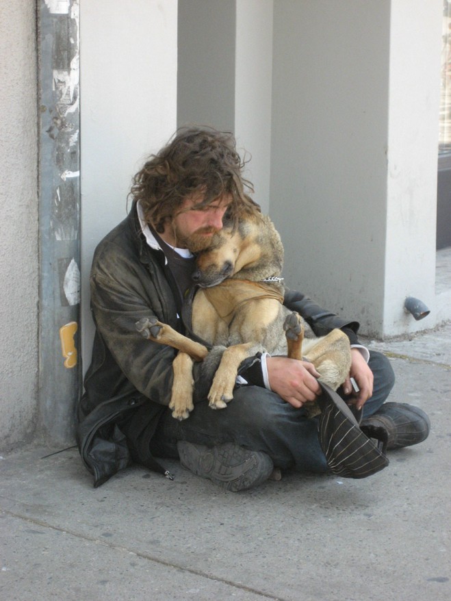 homeless-dog6-659x878