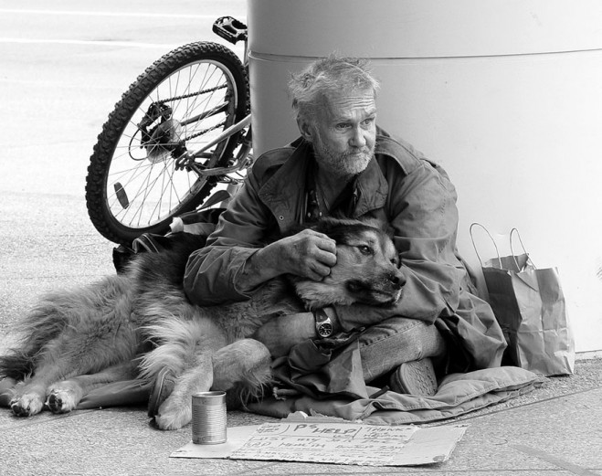 homeless-dog8-659x521