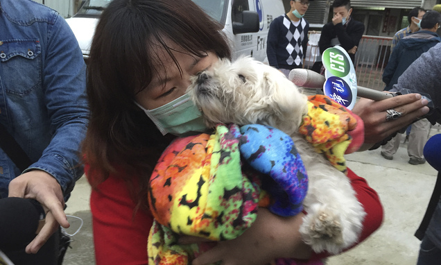 Taiwan séisme chien