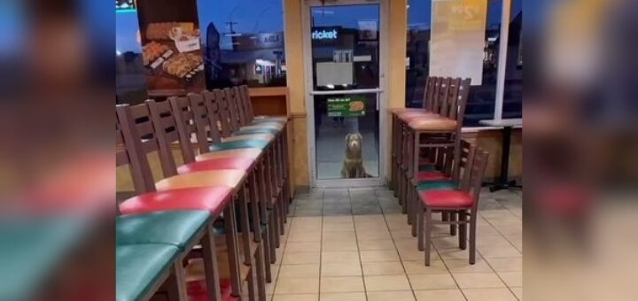 chien subway restaurant