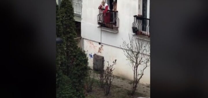 femme promene chien balcon