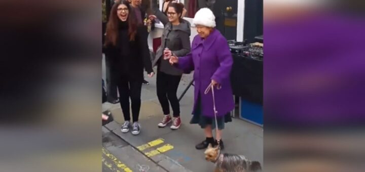 femme âgée promene chien danse daft punk