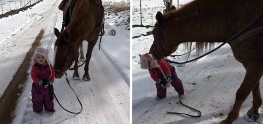 fille promène cheval