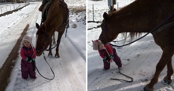 fille promène cheval