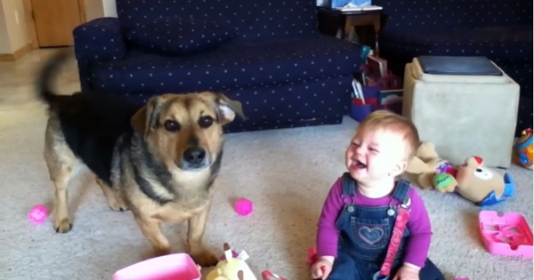 Bébé rigole quand le chien éclate les bulles