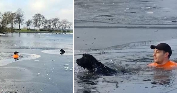 homme lac gelé sauver chien