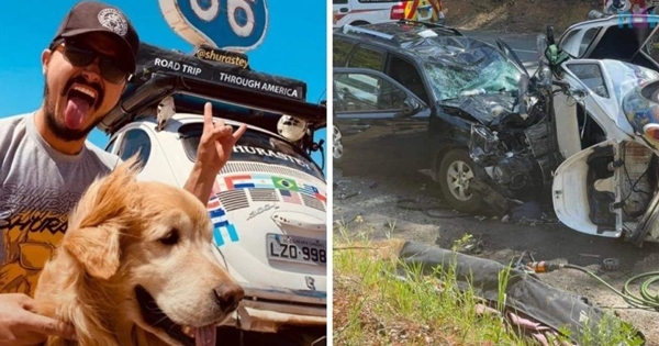 chien et maître accident voiture