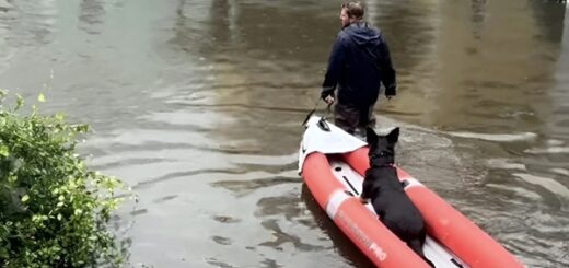 maître chien brave l’inondation